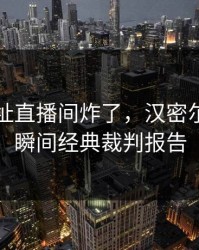 开云网址直播间炸了，汉密尔顿绝杀瞬间经典裁判报告