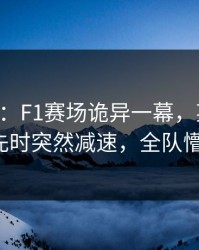 678体育：F1赛场诡异一幕，某车手在领先时突然减速，全队懵了。