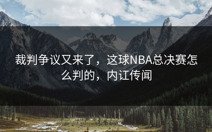 裁判争议又来了，这球NBA总决赛怎么判的，内讧传闻