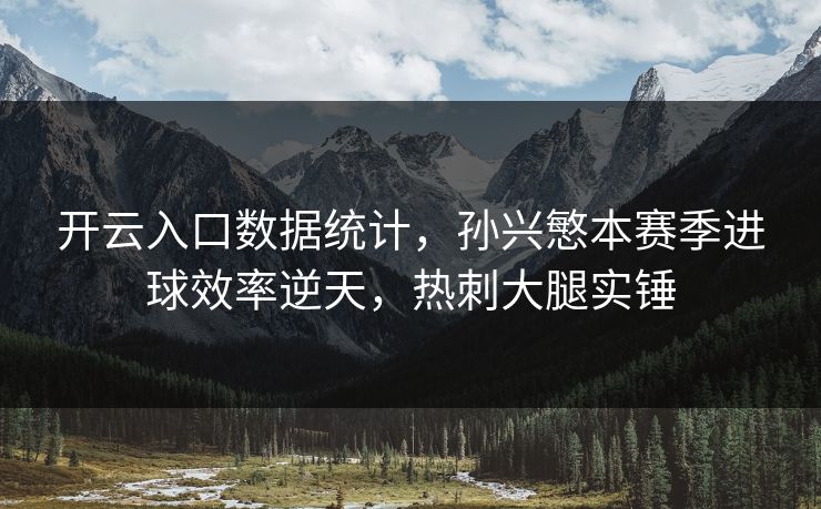开云入口数据统计，孙兴慜本赛季进球效率逆天，热刺大腿实锤