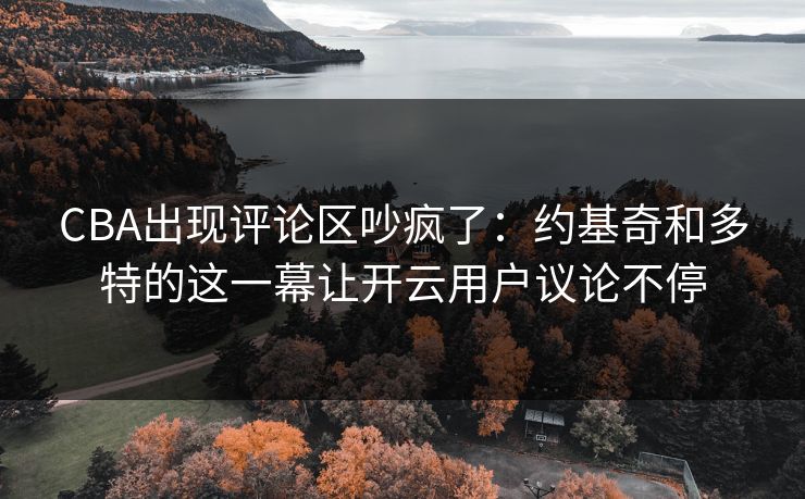CBA出现评论区吵疯了：约基奇和多特的这一幕让开云用户议论不停